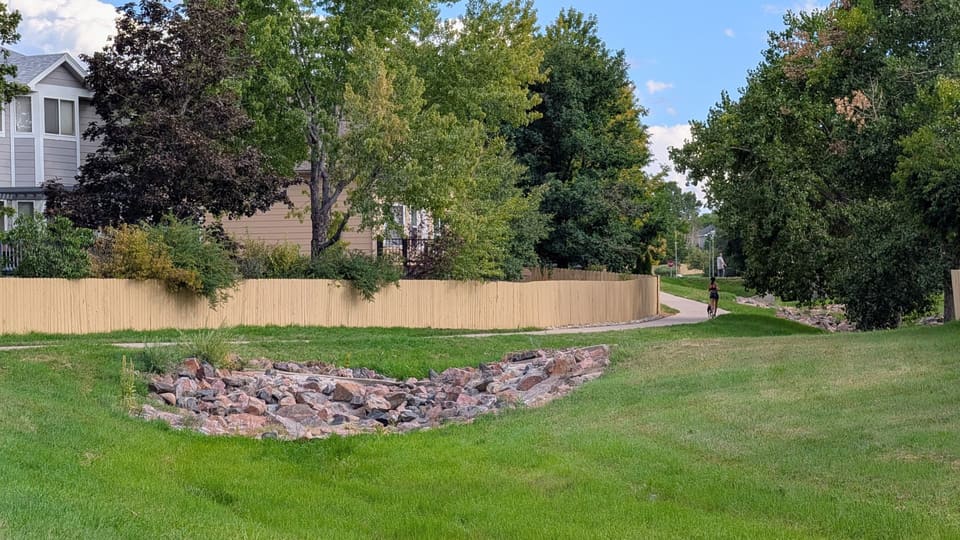 Neighborhood path with a resident walking a dog